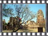 CIMG06101.jpg