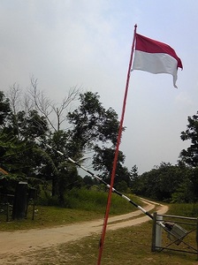 ビンタン島1.jpg