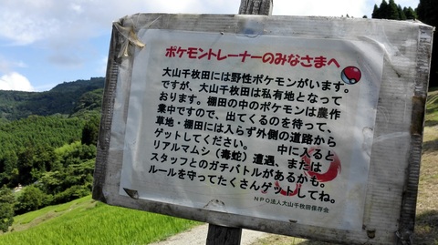 大山千枚田(3).jpg