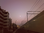月-1.jpg