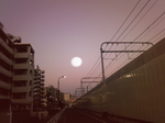 月-2.jpg
